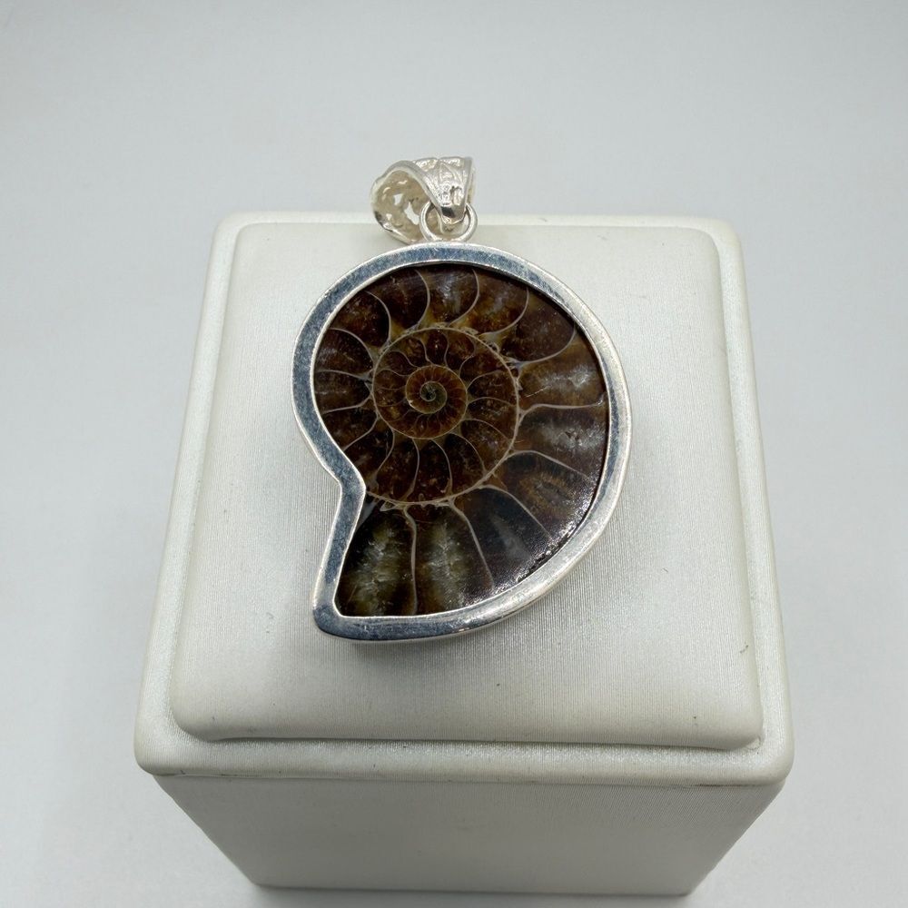 AMMONITE (with flash!) pendant in silver plated metal!